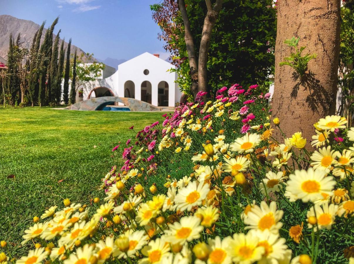 Casa Hotel Mamaluna Lunahuaná Εξωτερικό φωτογραφία