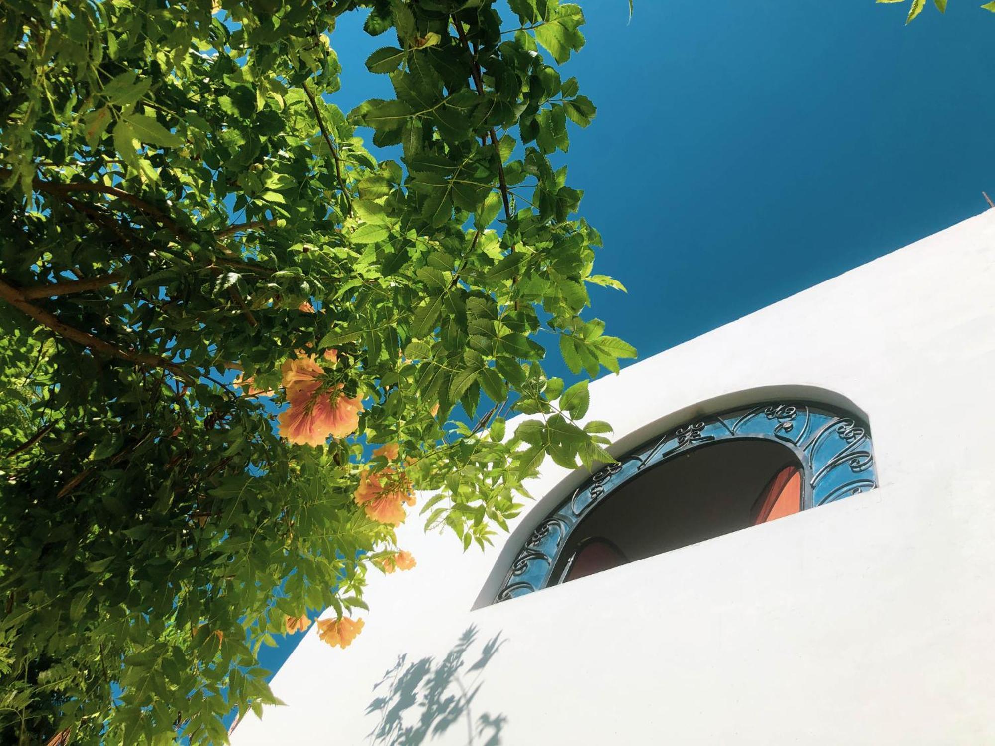Casa Hotel Mamaluna Lunahuaná Εξωτερικό φωτογραφία
