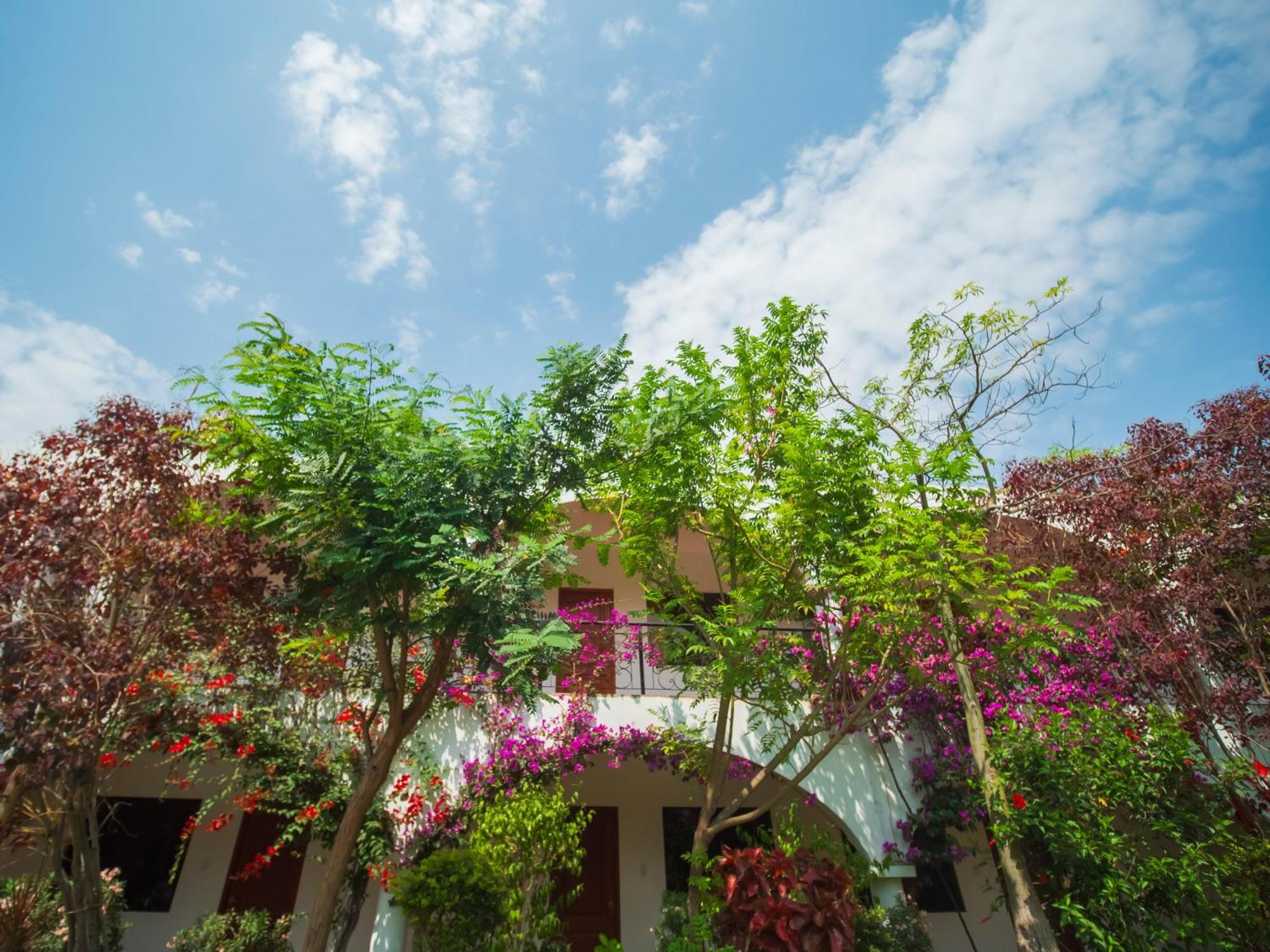 Casa Hotel Mamaluna Lunahuaná Εξωτερικό φωτογραφία